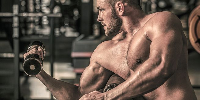 How Steroids Elevate Strength Gains in Weight Training